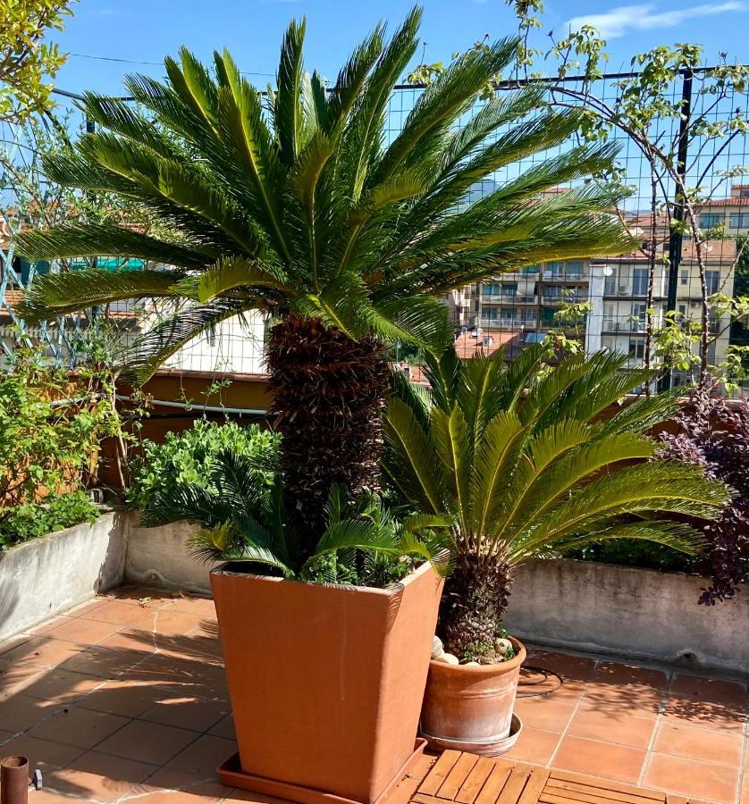 Il Giardino Sospeso Di Anna Apartment ฟลอเรนซ์ ภายนอก รูปภาพ